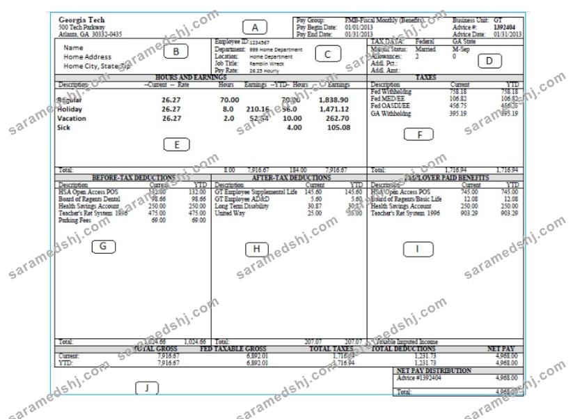 GEORGIA TECH pay stub Word and PDF template